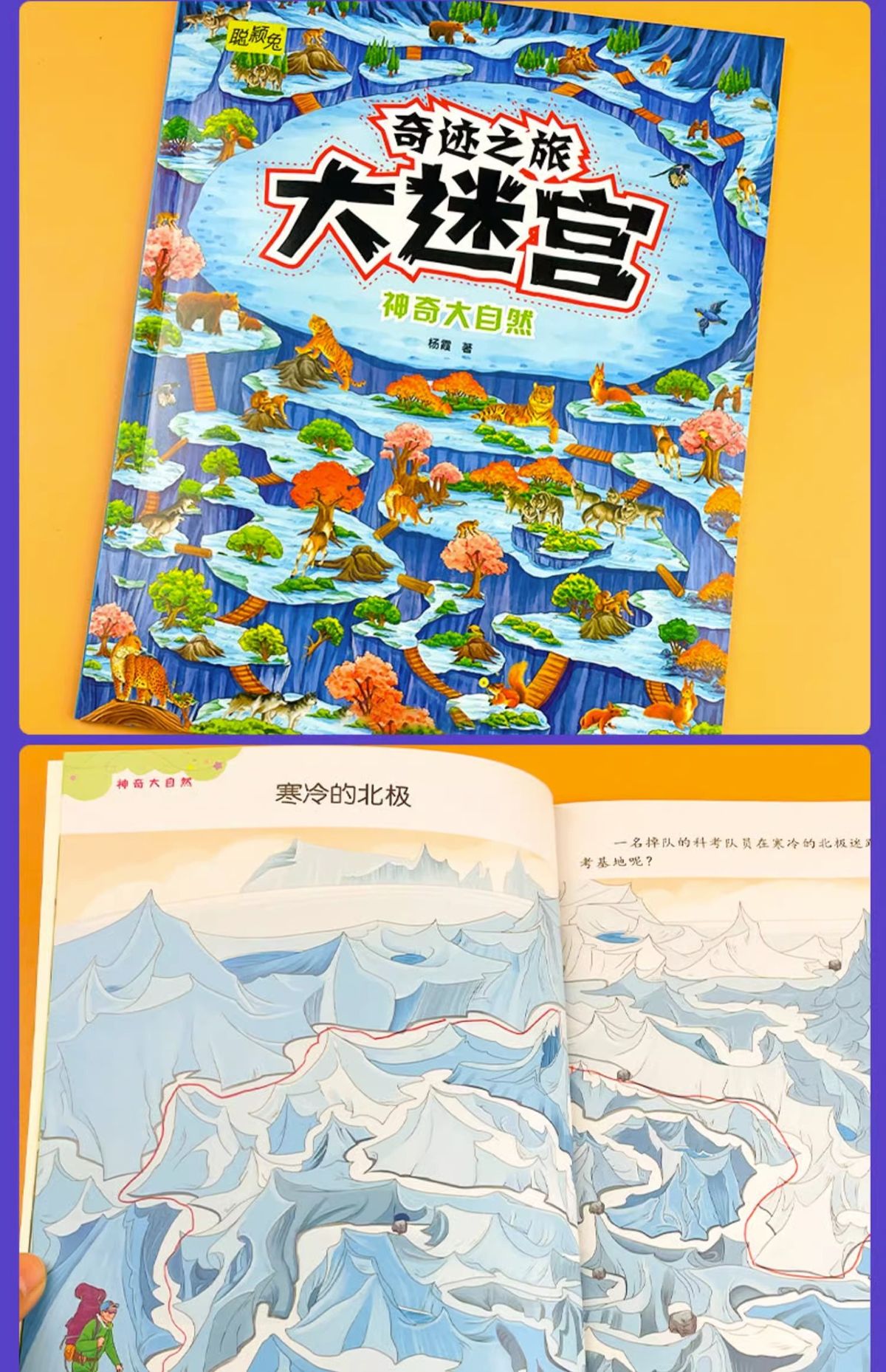 Maze Book Ages 4-7 Focus and Thinking Training