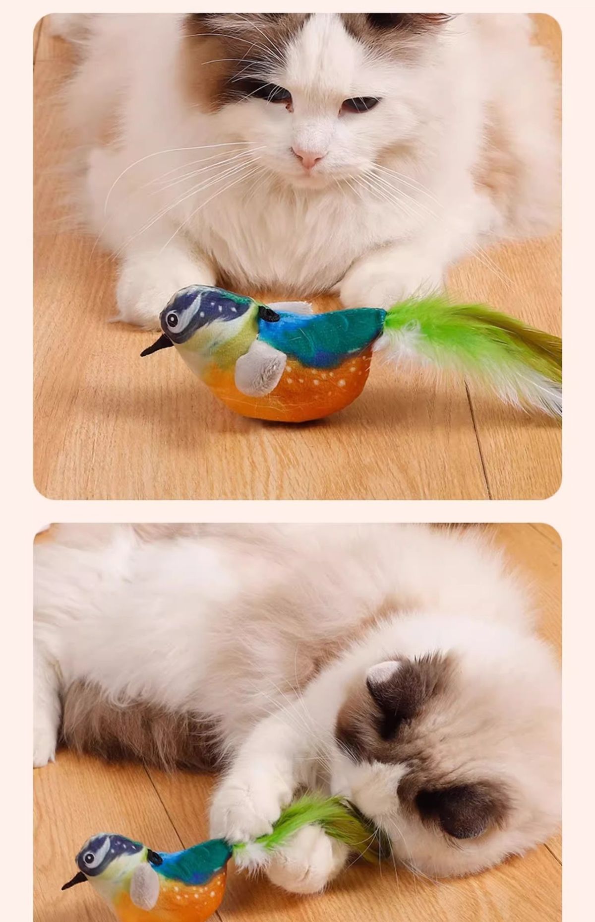 Kedi oyuncağı kuş seslerini simüle eder, kendi kendine eğlence, can sıkıntısını giderir, ısırmaya dayanıklı kedi çubuğu, enerji tüketir, yavru kedi oyuncağı, evcil hayvan malzemeleri