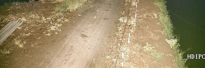 8MP çift ışık gözetleme kamerası, POE, gece görüşü, ses