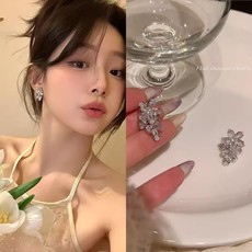 Koreanische Zirkon-Schleifenohrringe für Frauen, leicht luxuriös