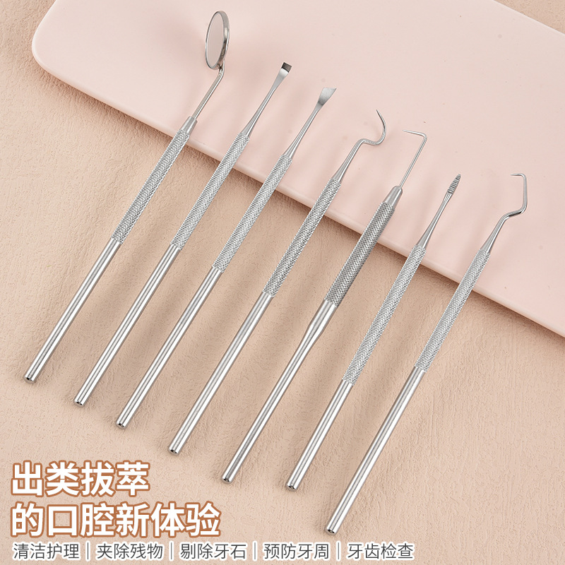 Stainless Steel Dental Cleaning Tool Set