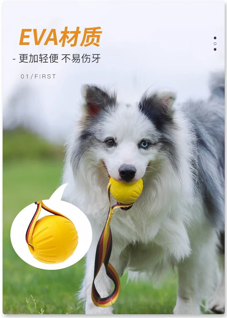 狗狗玩具大型犬互动圆环金毛拉布拉多拉环狗球磨牙耐咬狗解闷玩具