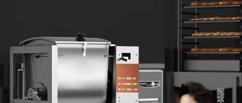 Commercial dough mixer, fully automatic, 5-25 kg, stainless steel