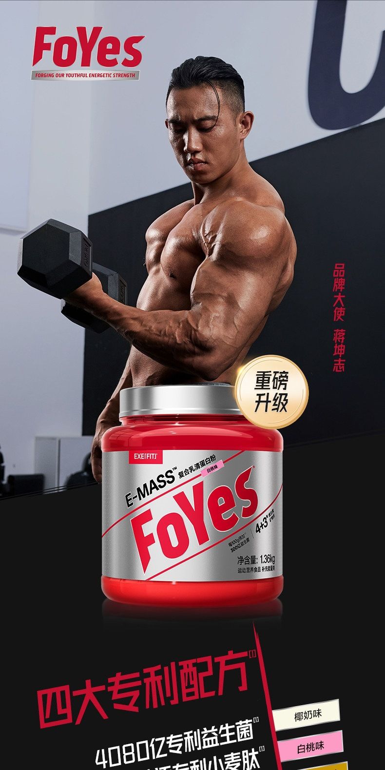 Foyes Protein Powder, Whey Complex with Rice Flour for Fitness