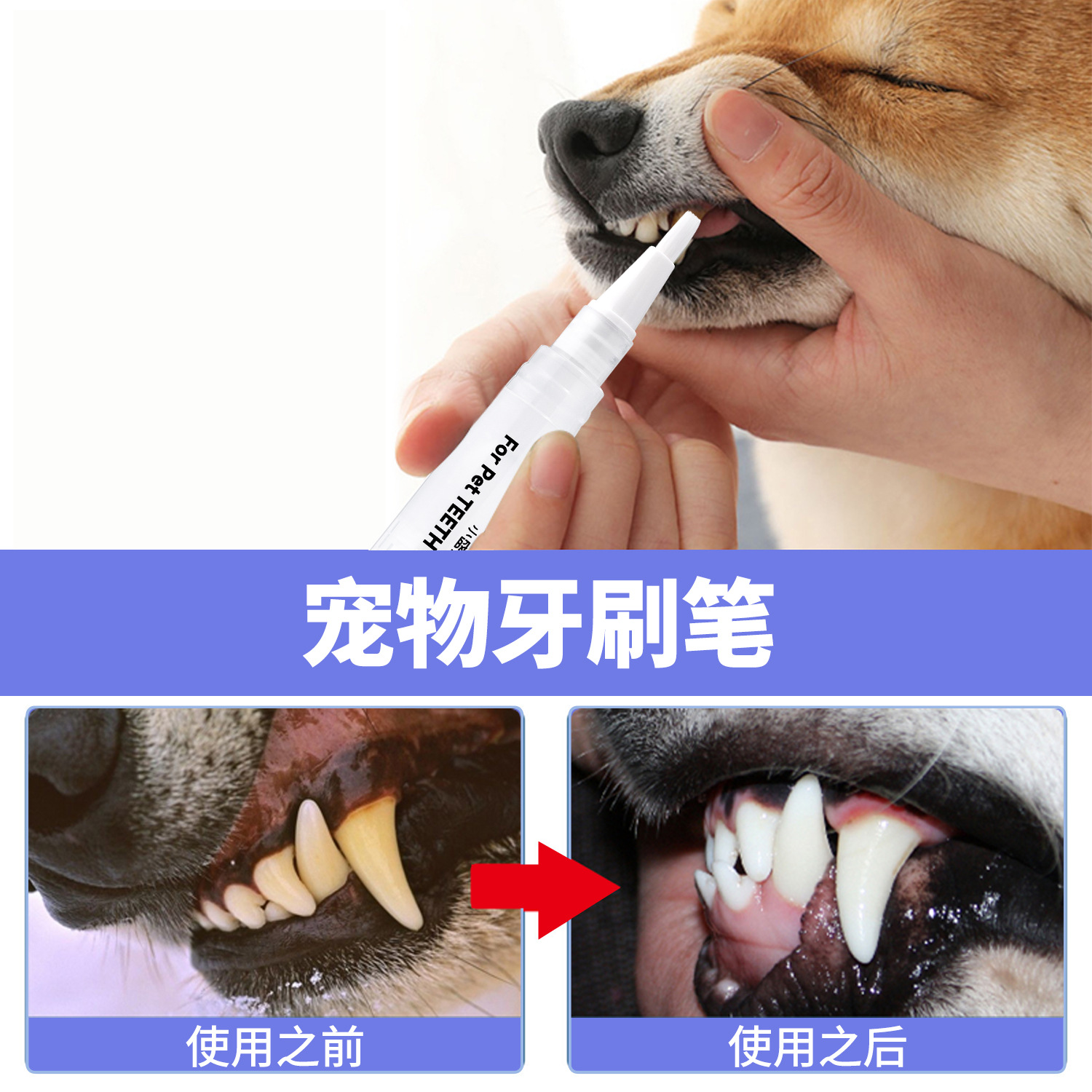 Pet teeth cleaning pen, for cats and dogs