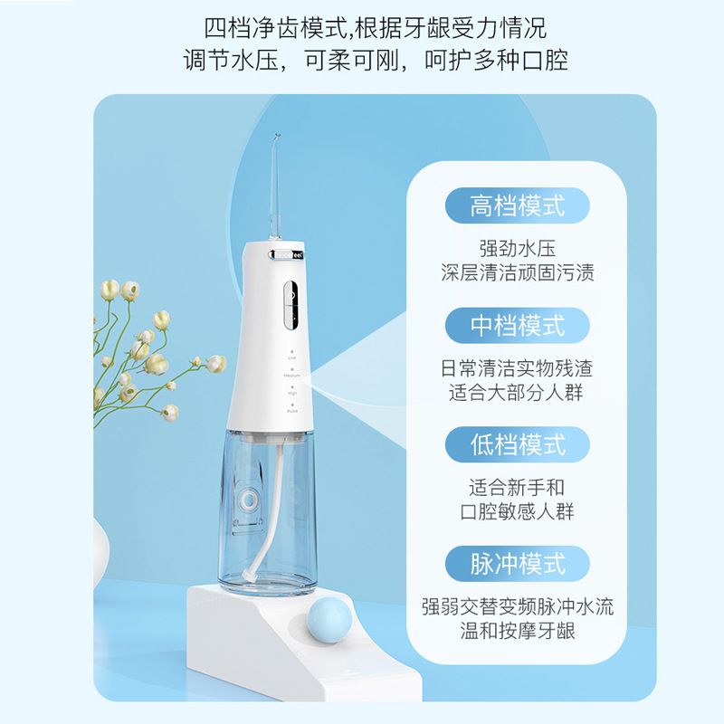 家用电动便携式冲牙器跨境口腔清洁便携300ML大水箱洗牙器护龈