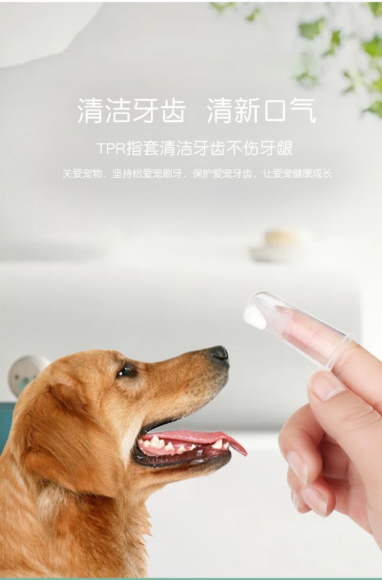 Pet toothpaste and toothbrush set for cats and dogs