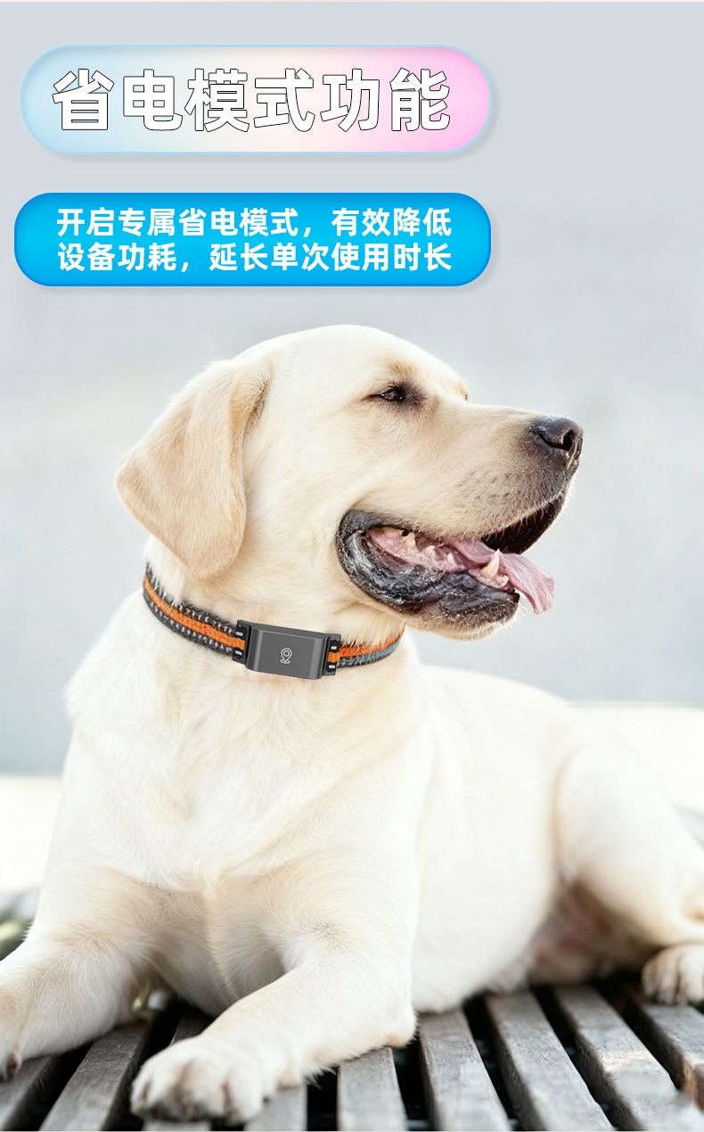 跨境新款GPS追踪器定位防走丢项圈历史轨迹电子围栏4G宠物定位器_