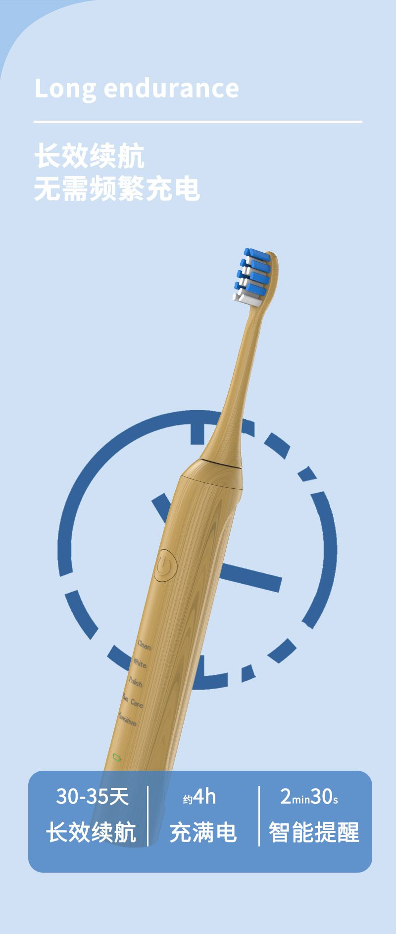 Sonic electric toothbrush, bamboo, inductive charging