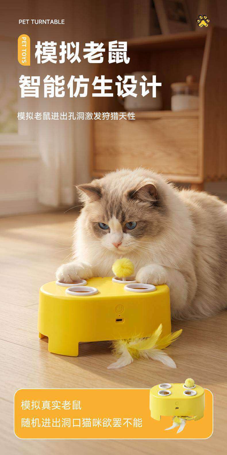 Cat toy, interactive, electric, multi-function