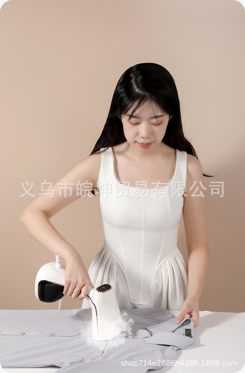 Handheld garment steamer, touch screen, vertical iron function