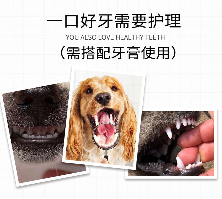 宠物牙刷猫狗狗洁牙刷牙狗牙刷猫牙刷猫咪狗宠物用品牙刷口腔清洁