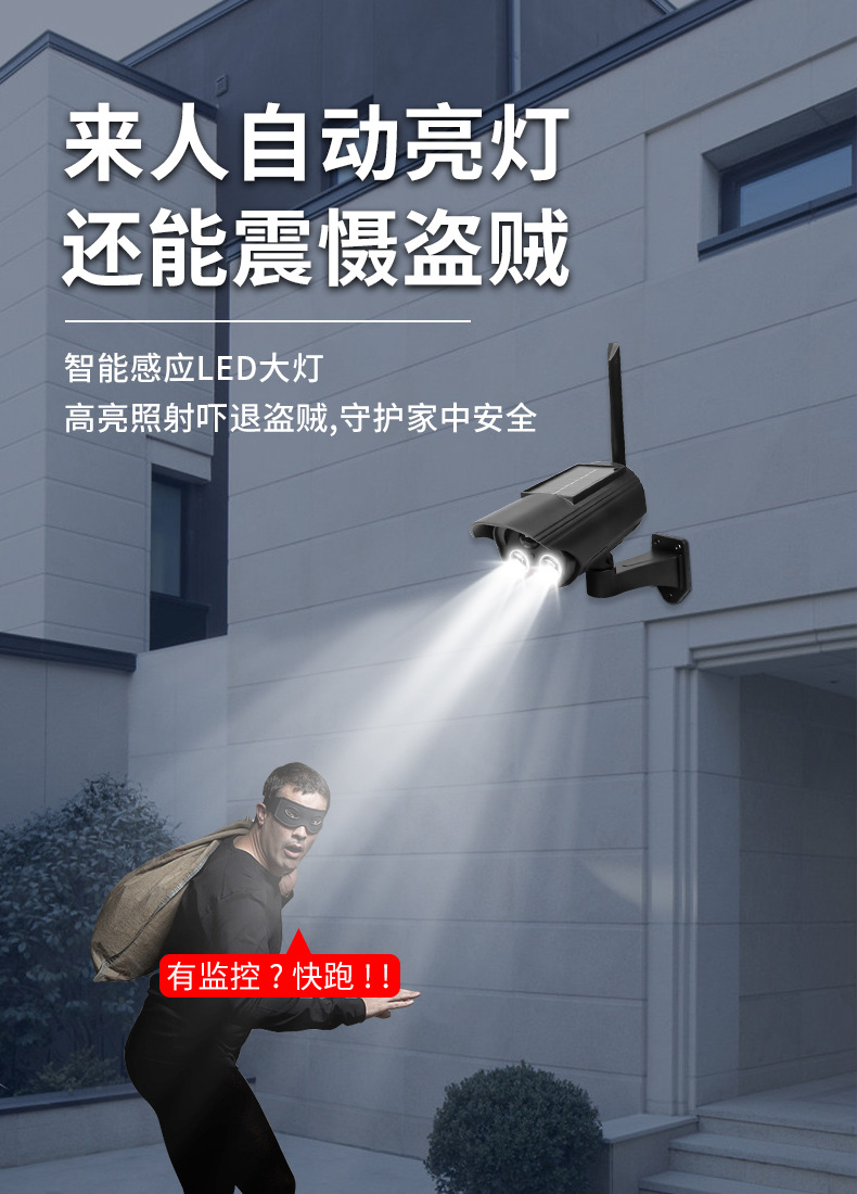 Dummy surveillance camera, solar panel, motion sensor