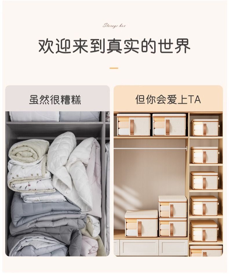 Bag Storage Box Large Capacity