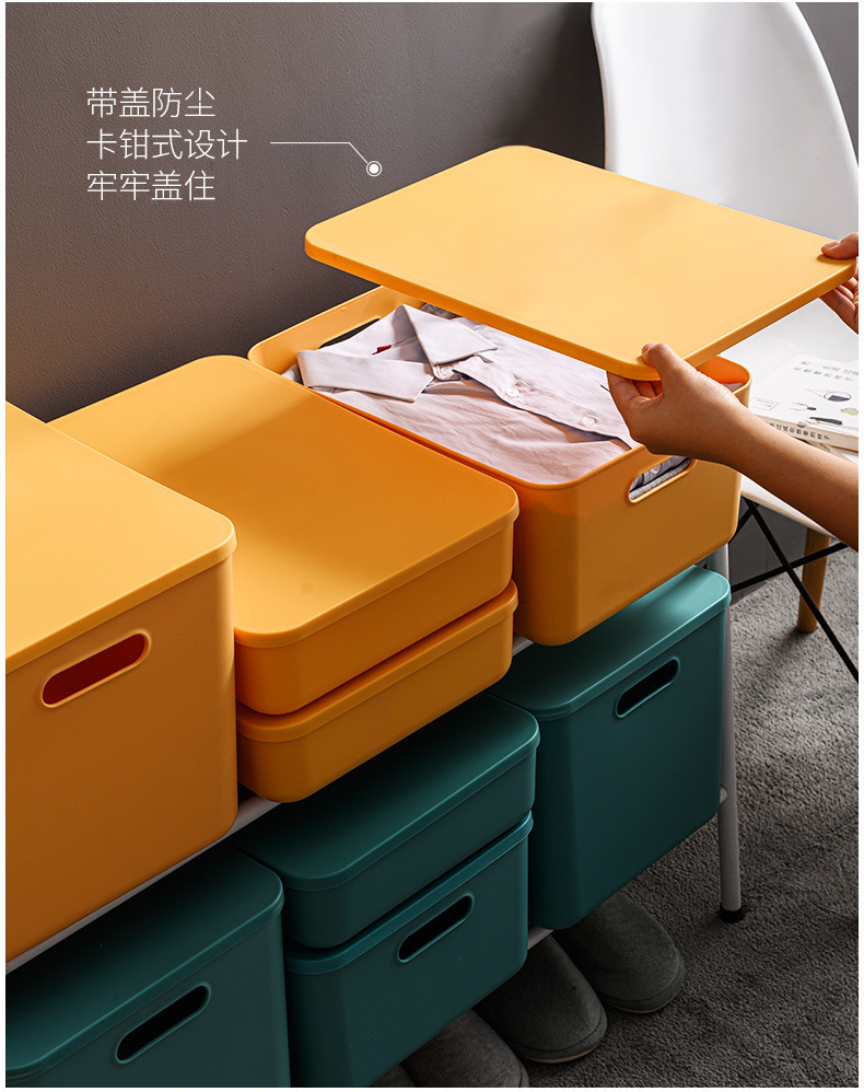 Plastic Storage Box, Large Capacity