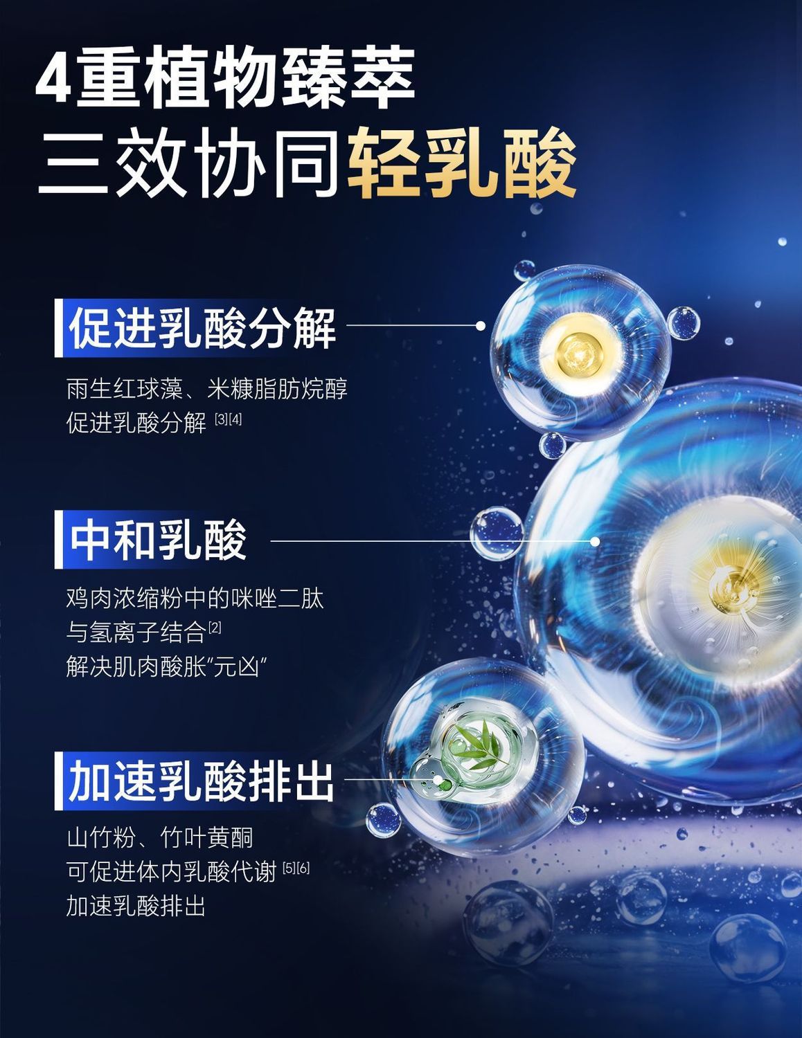 康.比特酸轻片耐力运动营养片跑步运动骑行户外训练补剂正品现货