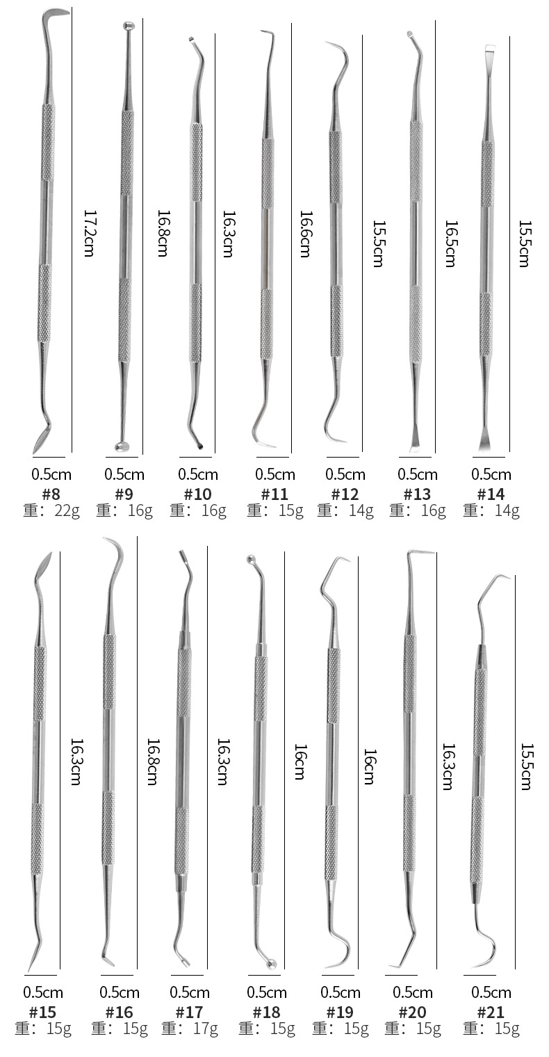 Stainless Steel Dental Cleaning Tool Set