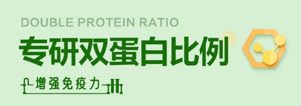 Plant-Based Dual Protein Powder 450g Adult Nutrition