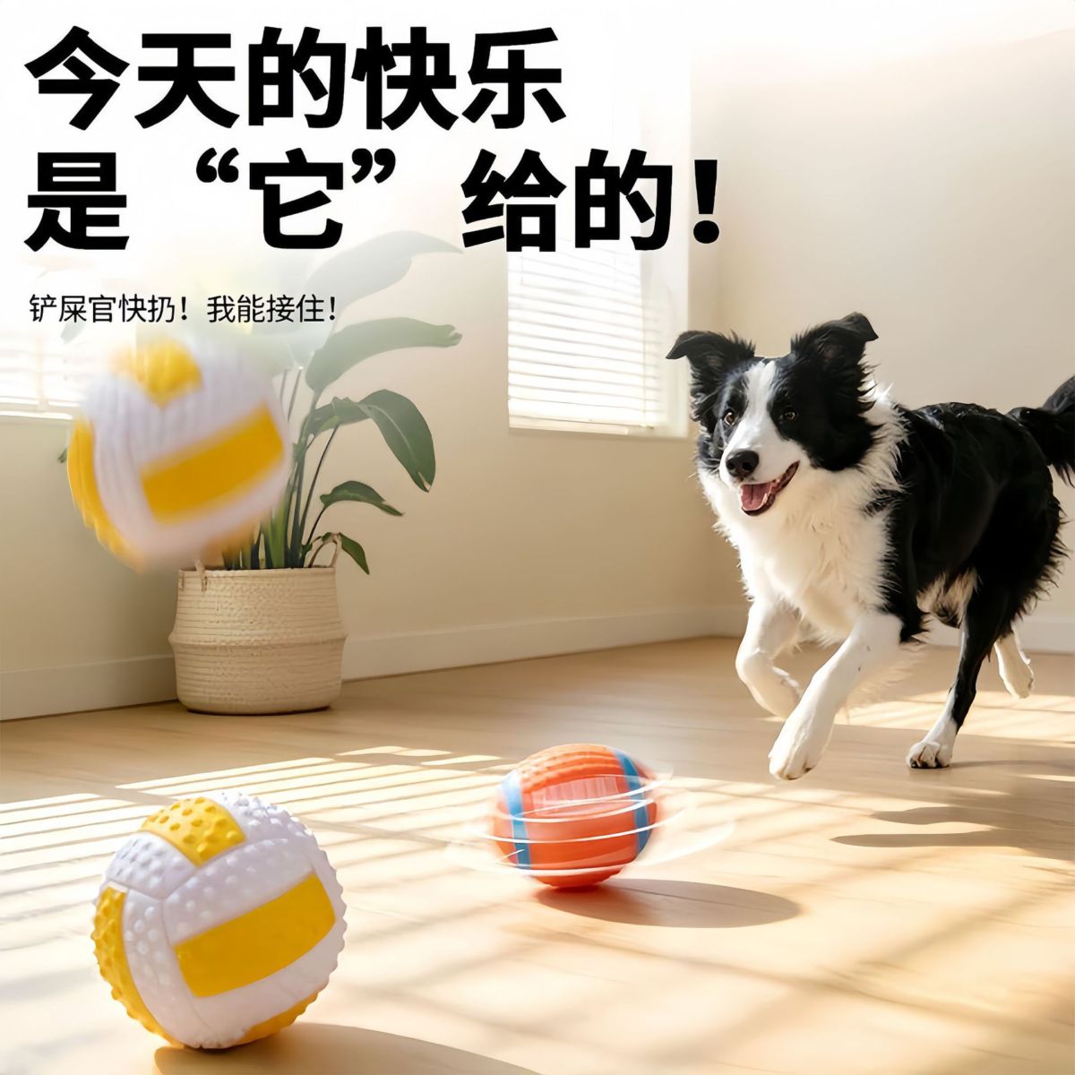 狗狗玩具咬咬鞋发声磨牙耐咬鞋子棉绳结训练泰迪小型犬宠物狗玩具