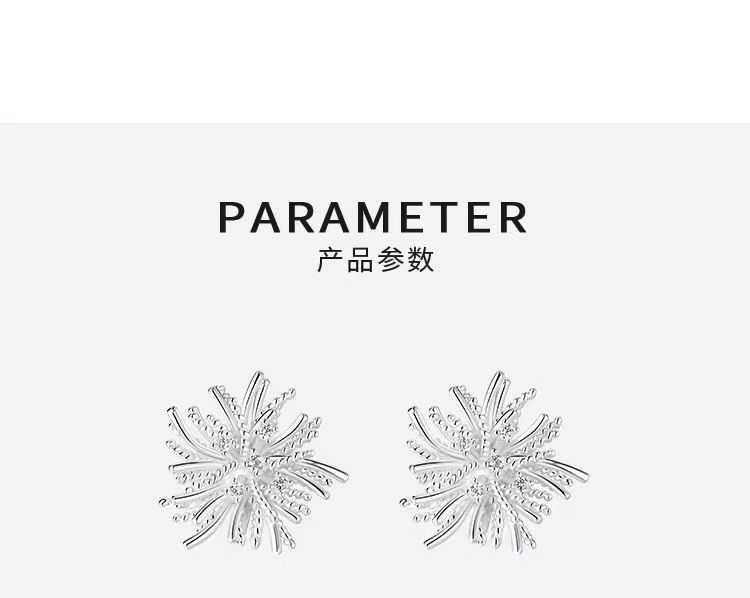 925er Silber Feuerwerk Ohrstecker Damen, hochwertiger eleganter Stil