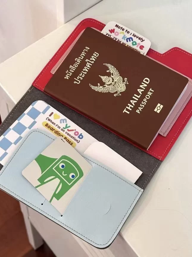 Pasaport tutucusu çok işlevli, renkli, seyahat kartı cüzdanı