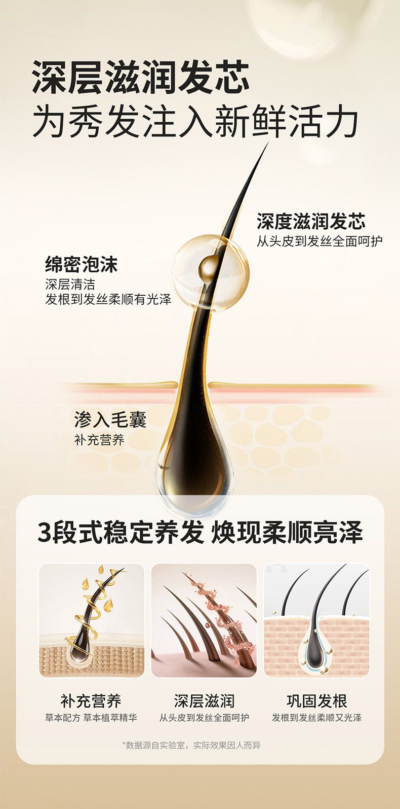 Polygonum multiflorum shampoo, anti-dandruff and oil control