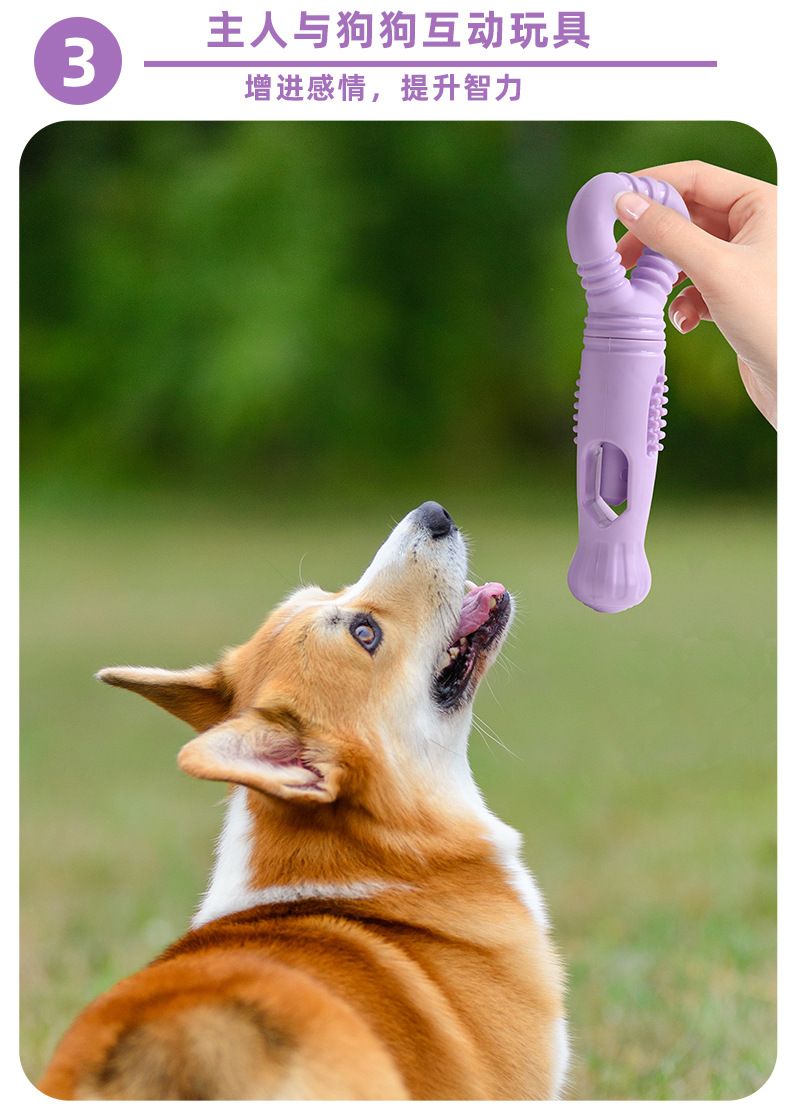 Dönerli kemik şekli köpek oyuncağı beslenme tutuşu
