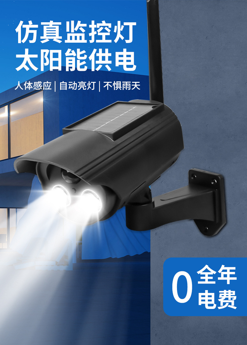 Dummy surveillance camera, solar panel, motion sensor