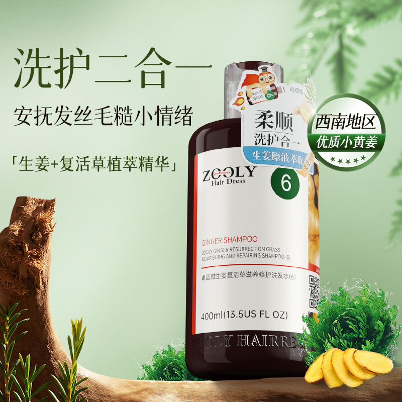 Zhuolan Ya Ingwer Shampoo Nährend Reparatur