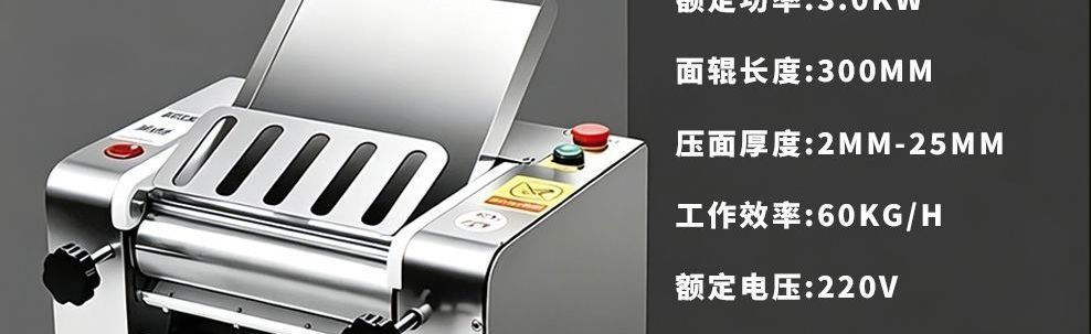 Model 300 commercial noodle press machine, automatic, stainless steel