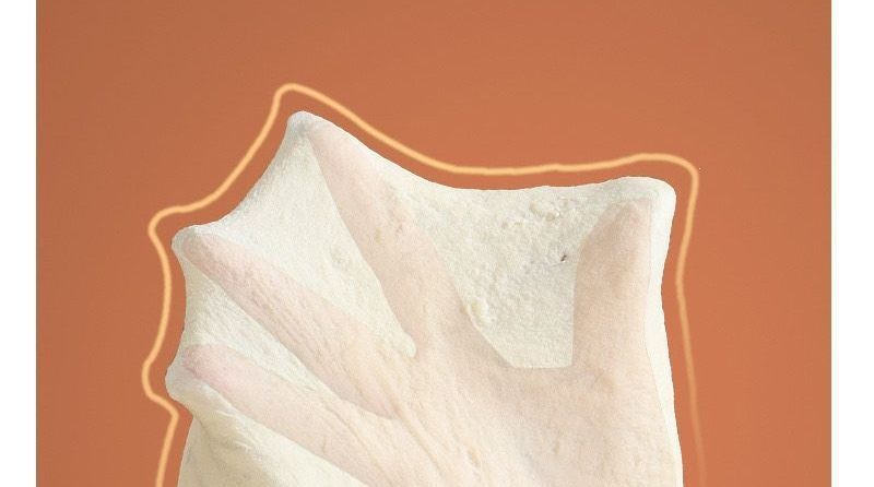 Home automatic dough mixer, multifunctional with fermentation
