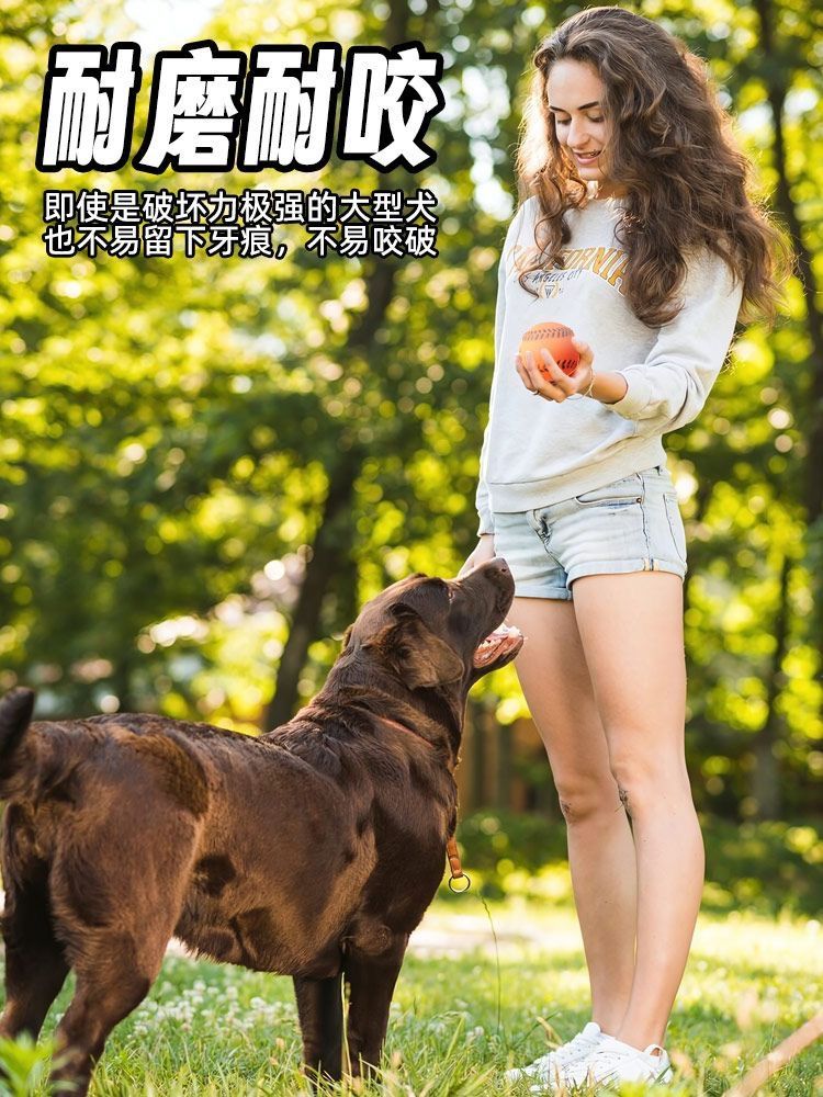 Hundespielzeug Vinyl-Baseball mit Quietscher