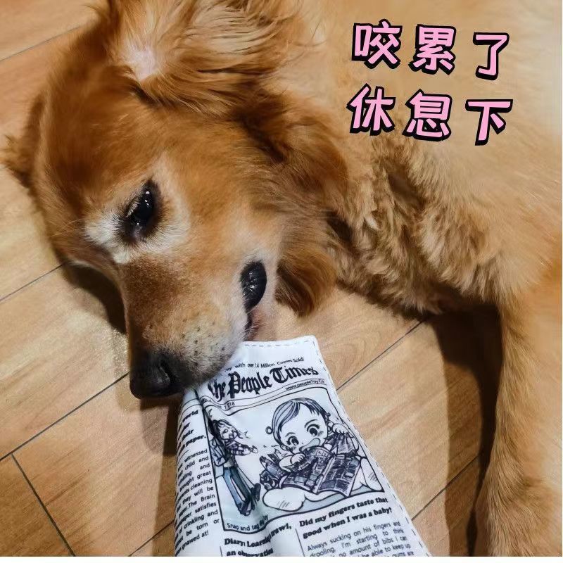 跨境宠物狗狗发声玩具耐咬磨牙自嗨解闷发声报纸响纸玩具用品