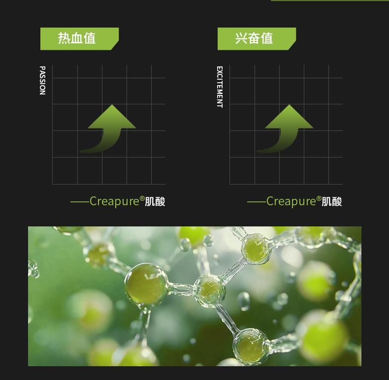 Creapure Creatine Monohydrate Powder, High Purity