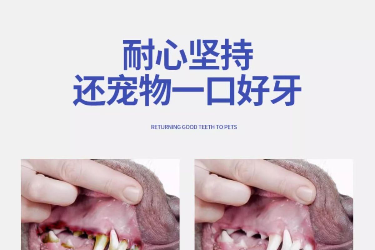 Pet Toothbrush Finger Brush and Toothpaste Set