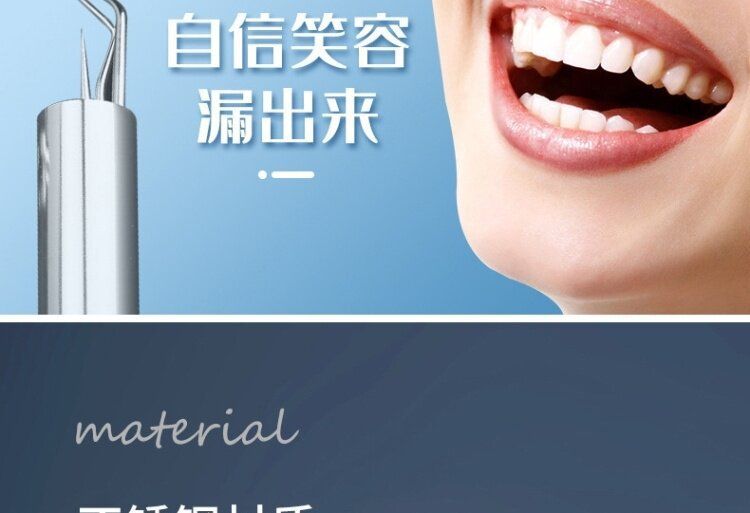 Stainless steel toothpick set, portable dental care tool