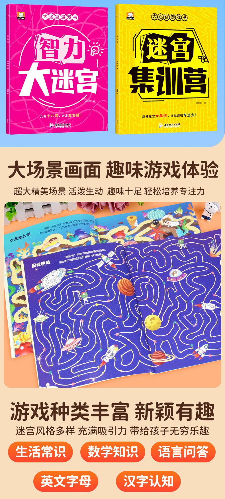 Maze Educational Book Ages 3-8 Activity
