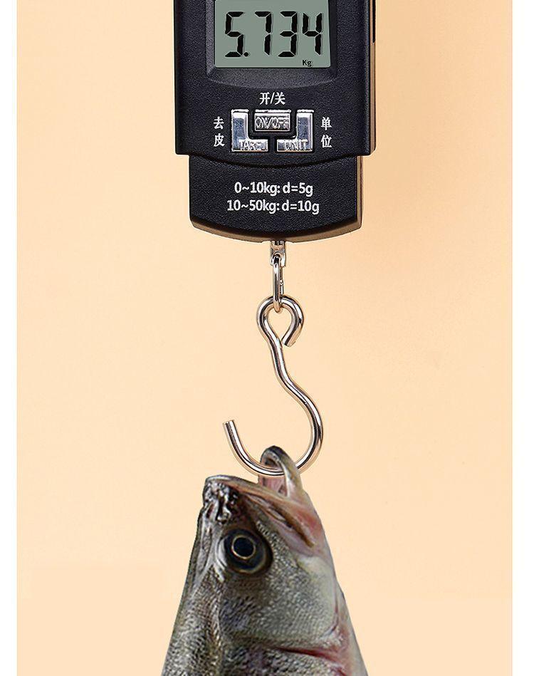 Mini portable electronic handheld scale with hook