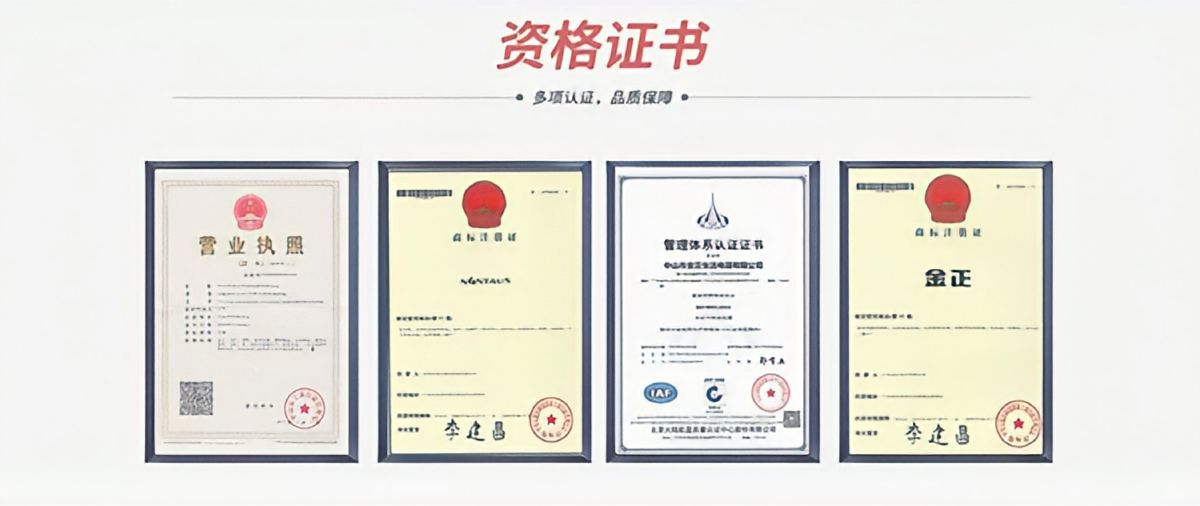 Jinzheng tam otomatik sebze meyve sıkacağı, soğuk sıkma