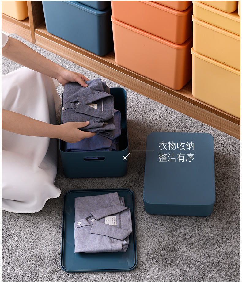Plastic Storage Box, Large Capacity