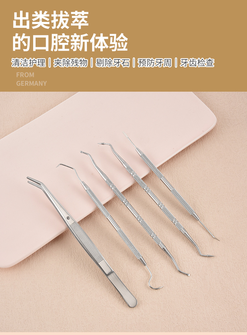 Stainless Steel Dental Cleaning Tool Set