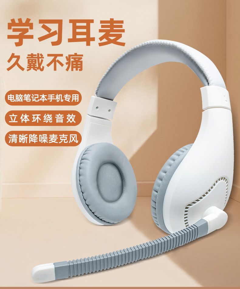 Wired Headphones with Microphone for Computer and Laptop