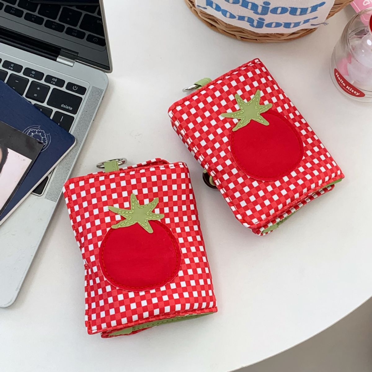 Passport holder, red plaid design, portable mini storage
