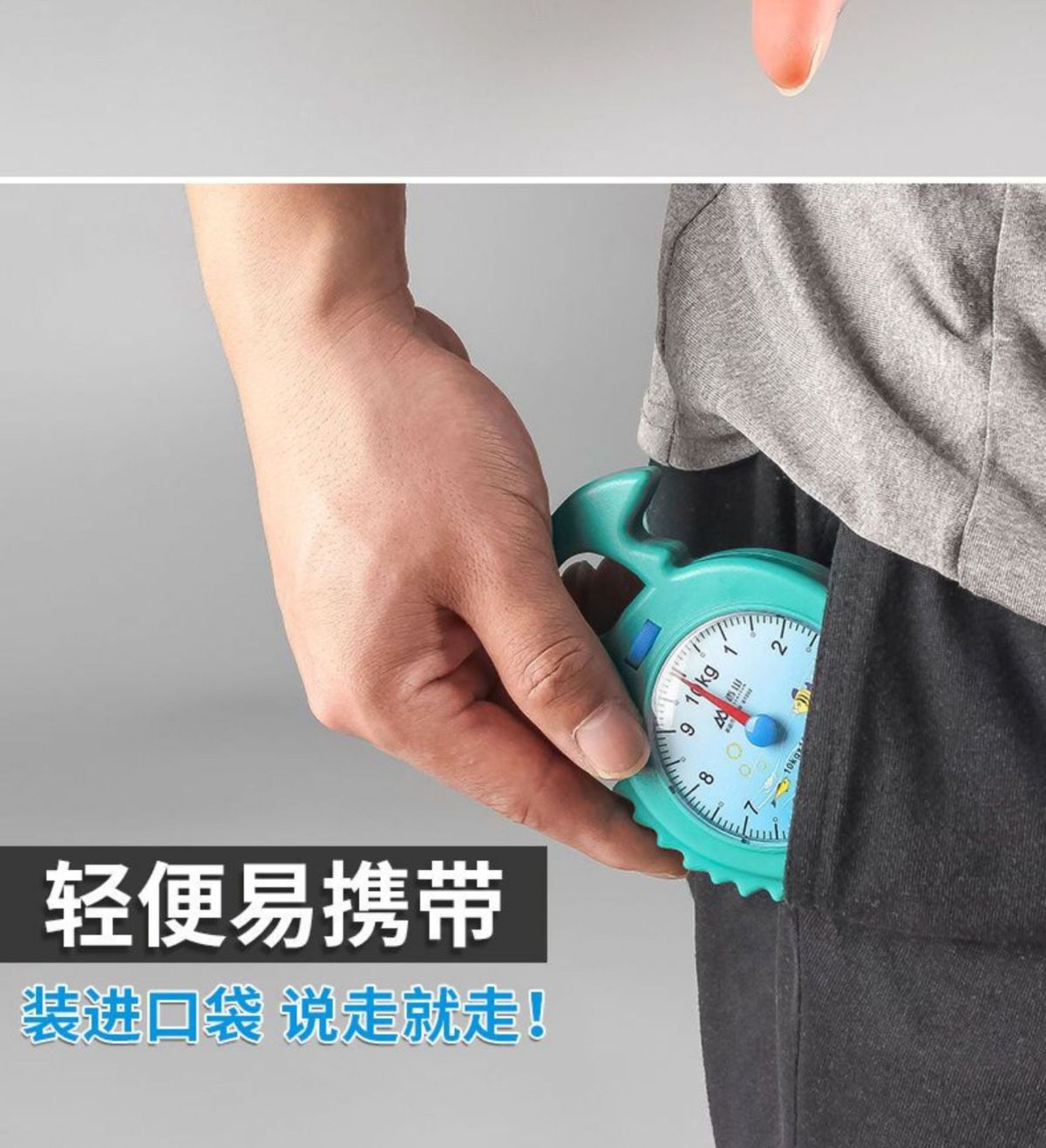 弹簧秤高精度手提称便捷式家用随身带小勾称小型手提多功能电子称