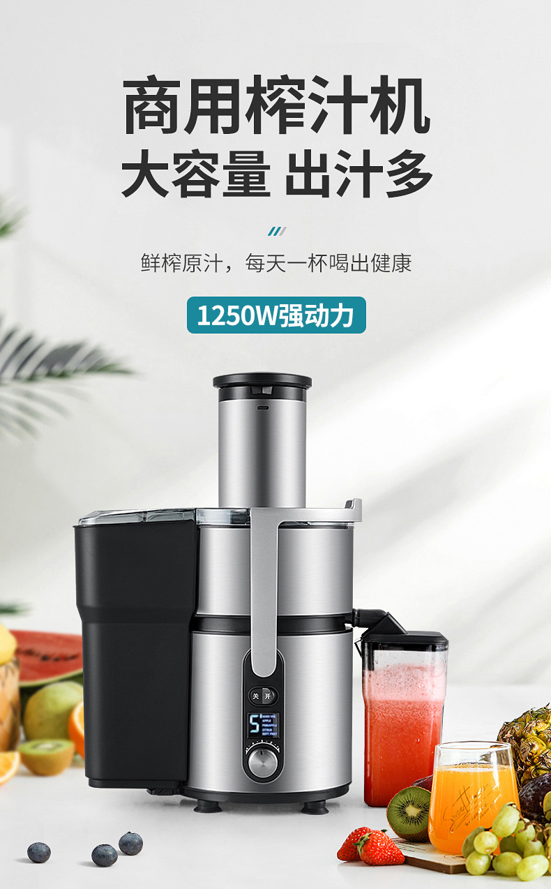 Fruit juicer, fully automatic, large-capacity, commercial