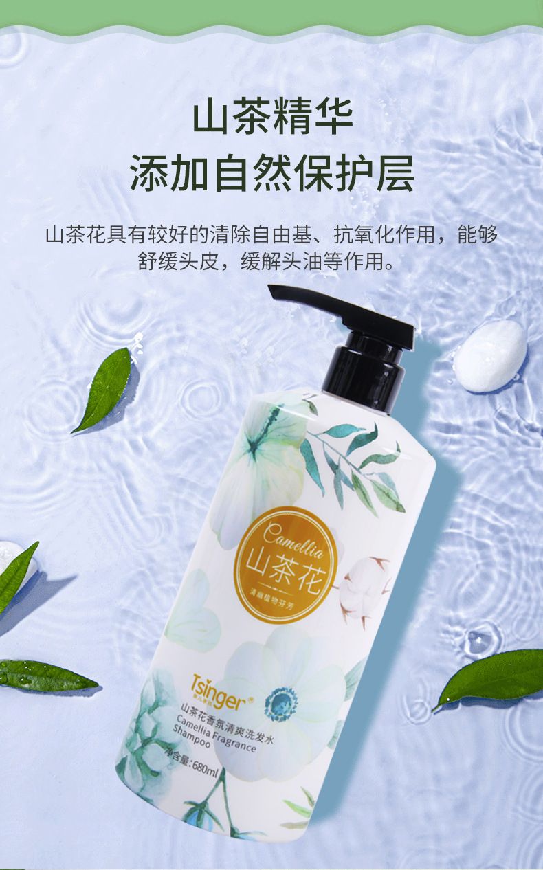 Qin Er Kamelie Shampoo, Aminosäure-Formel, Ölkontrolle
