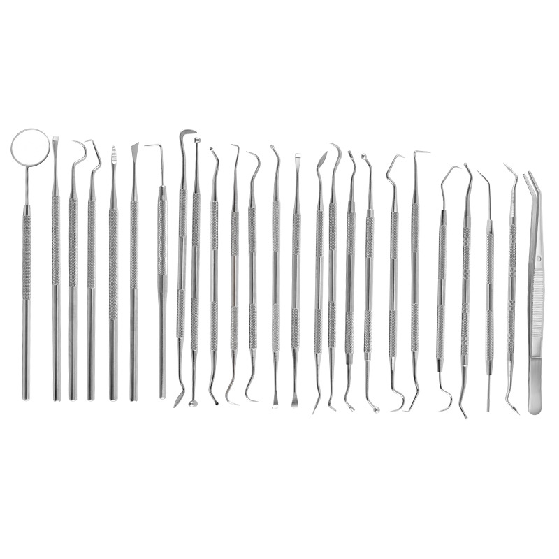Stainless Steel Dental Cleaning Tool Set