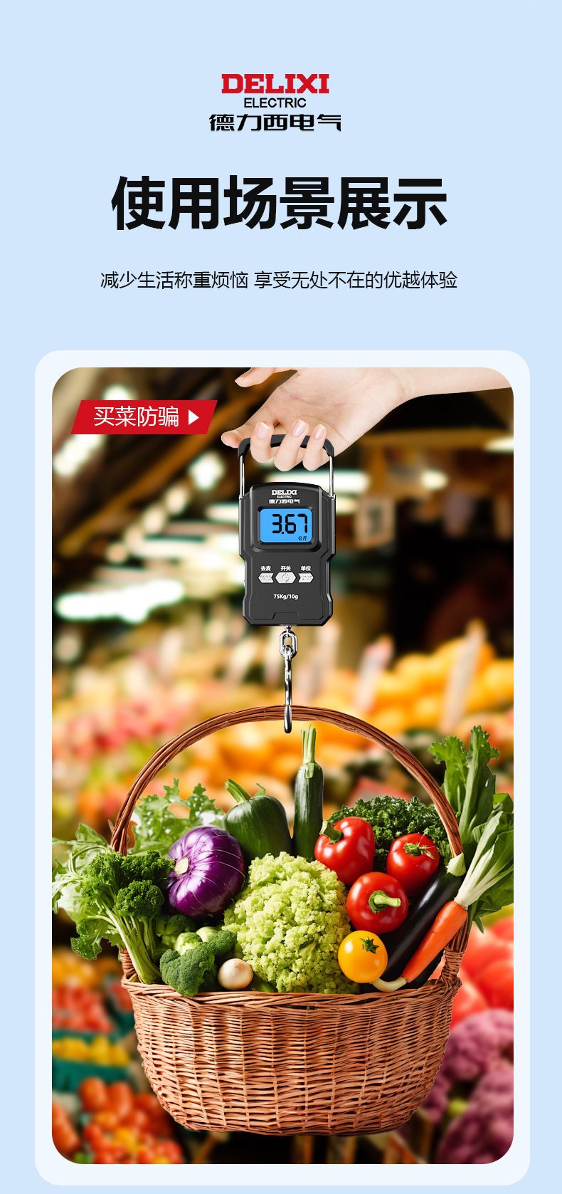 Delixi portable electronic scale