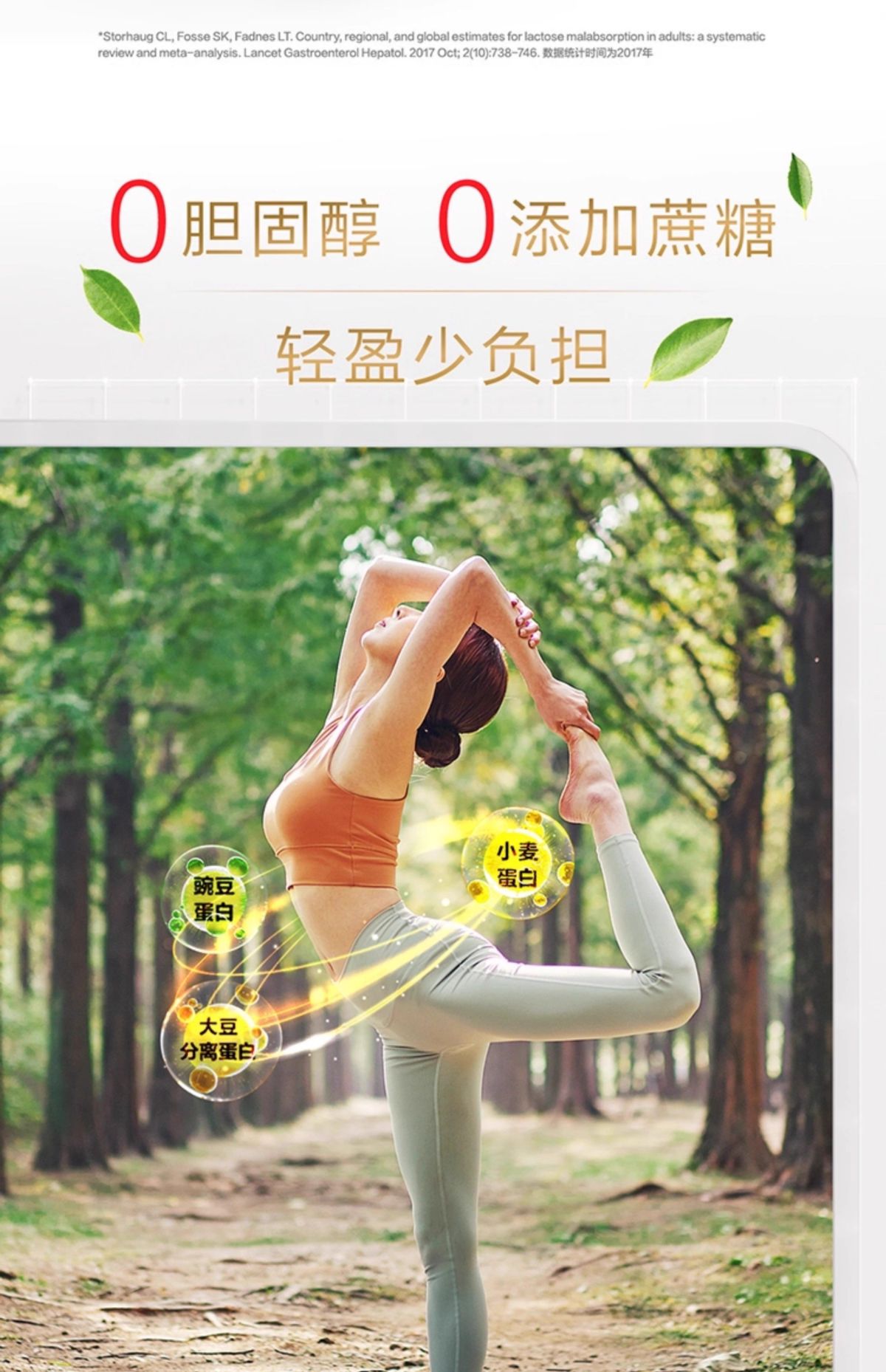 Plant protein powder soy and pea, for men and women