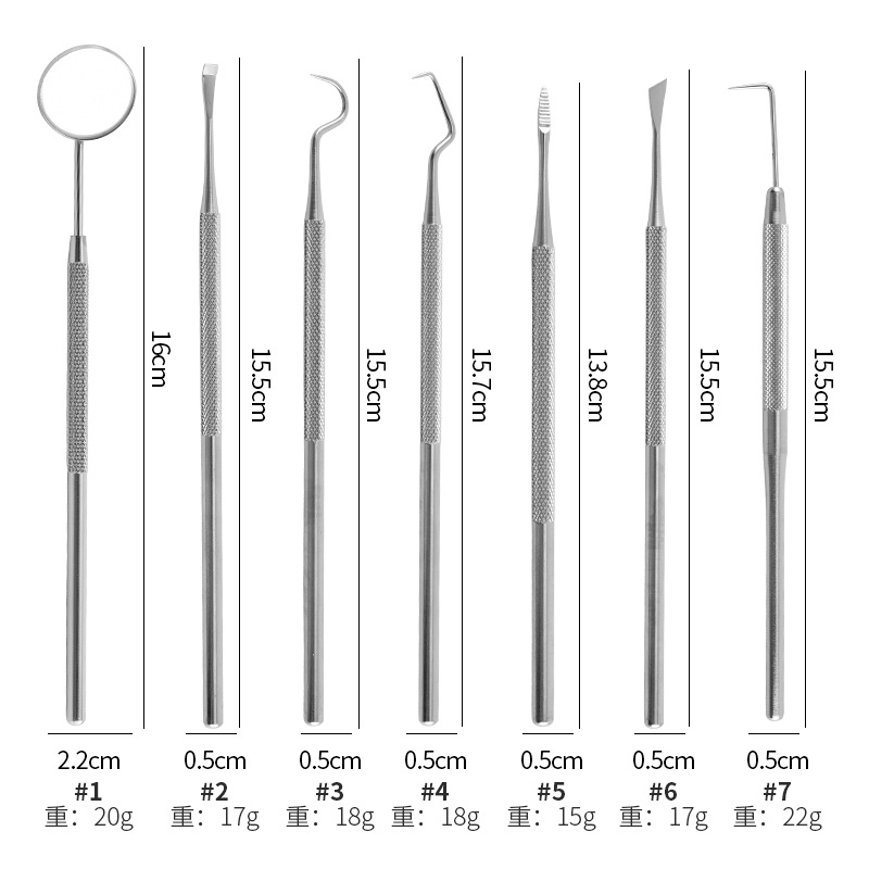 Stainless Steel Dental Cleaning Tool Set